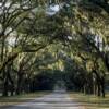 Wormsloe Plantation